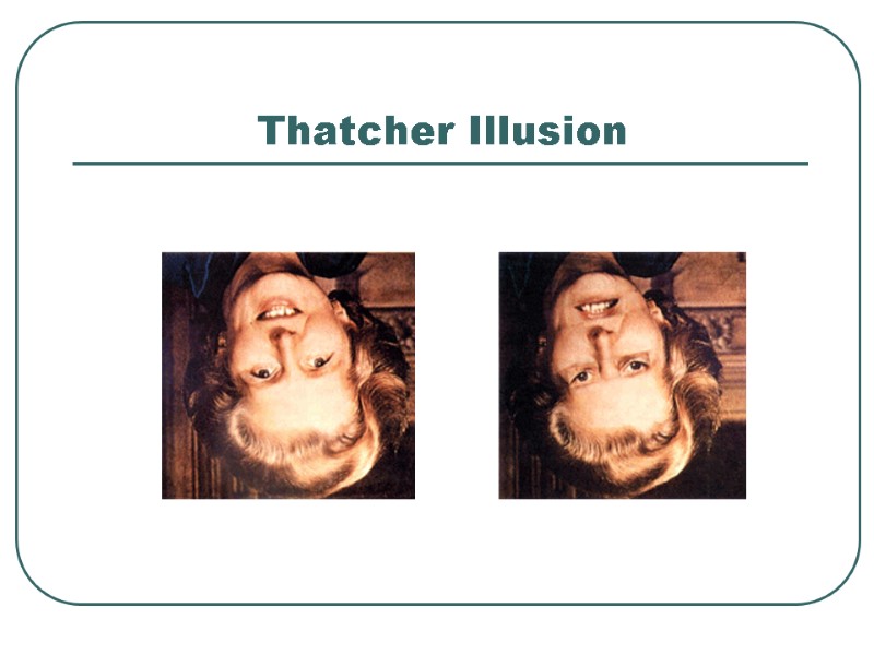 Thatcher Illusion